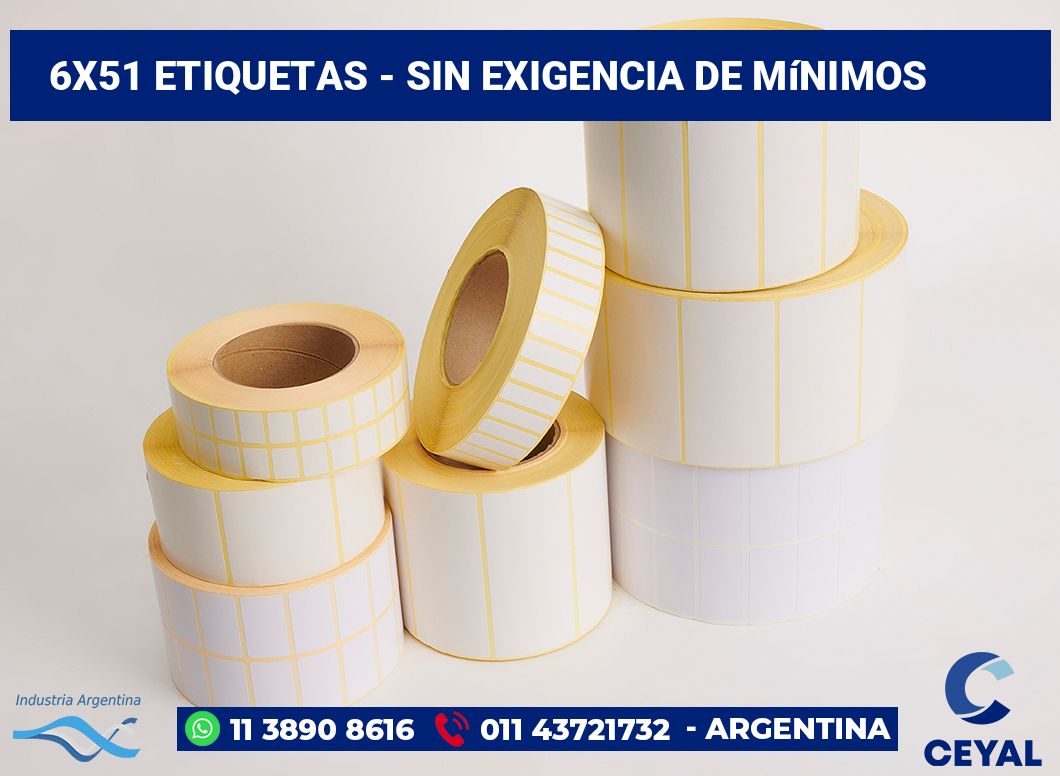 6x51 Etiquetas
