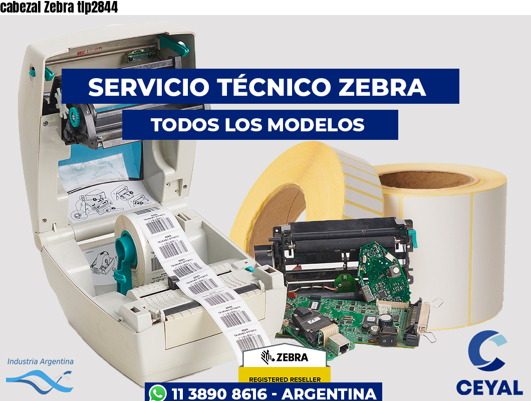 cabezal Zebra tlp2844