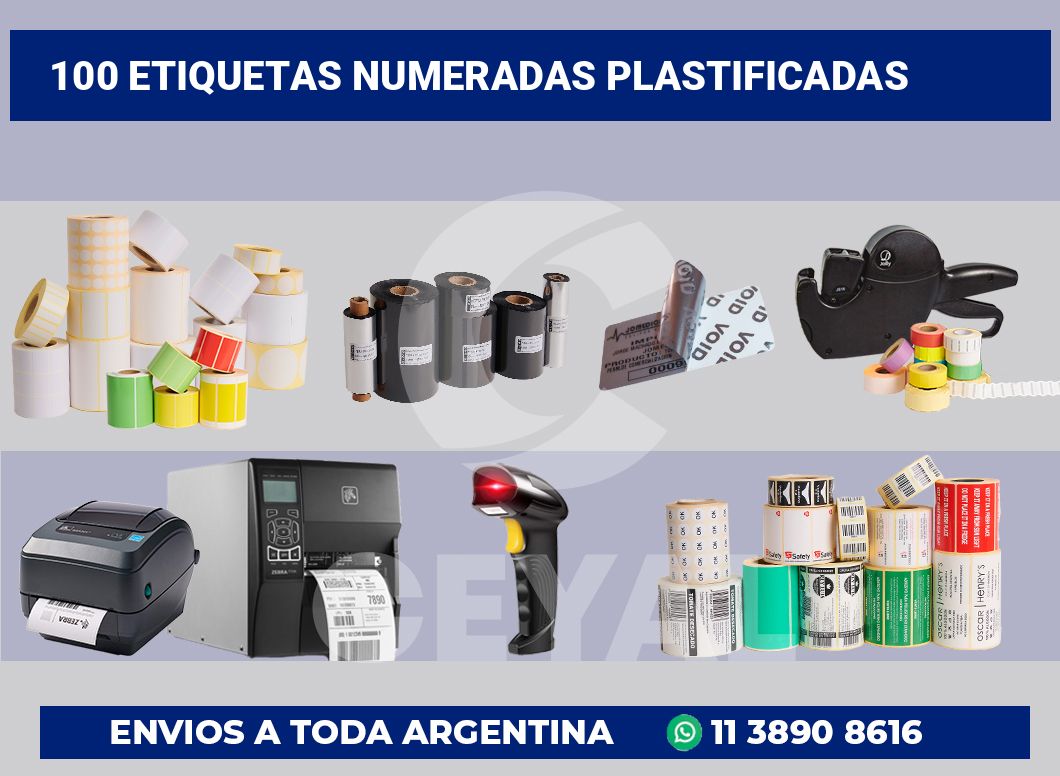 100 Etiquetas numeradas plastificadas