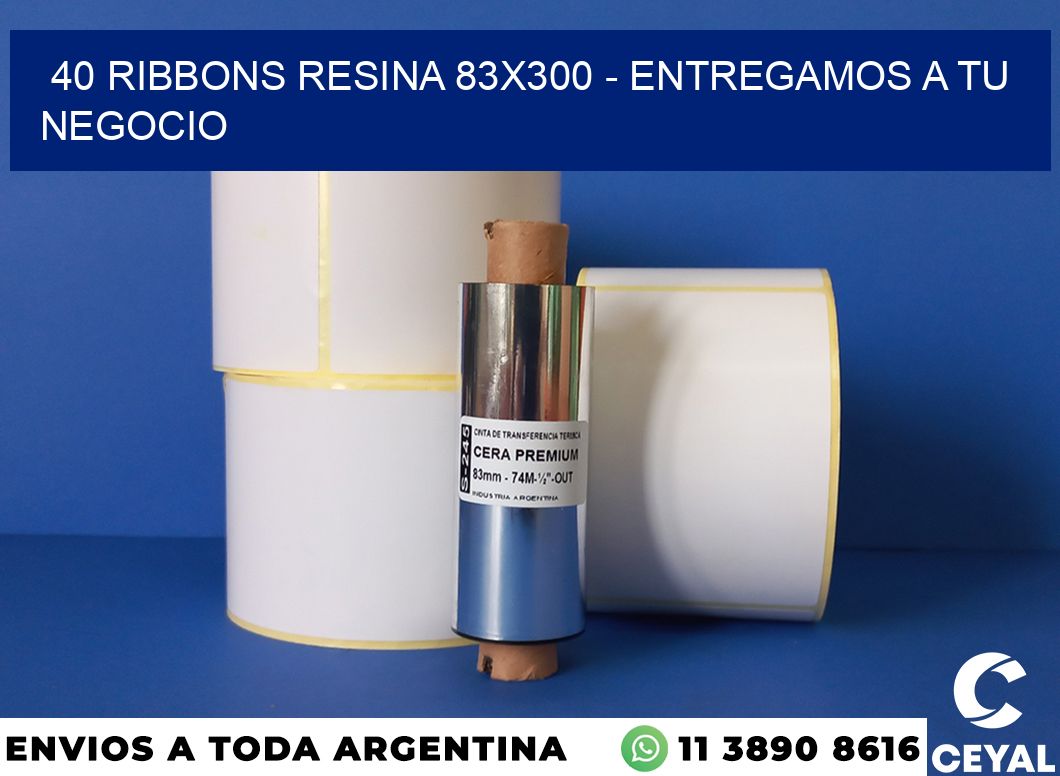 40 Ribbons resina 83×300 – entregamos a tu negocio