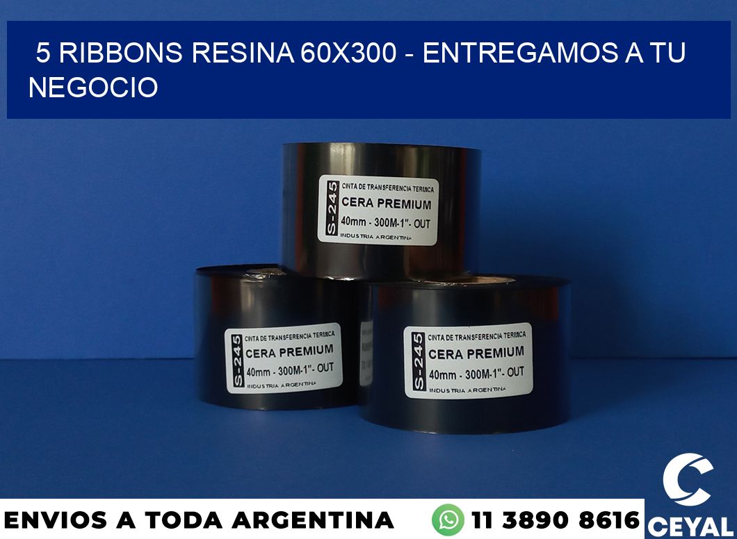 5 Ribbons resina 60x300 - entregamos a tu negocio