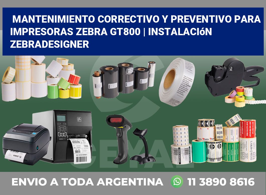 Mantenimiento correctivo y preventivo para impresoras Zebra GT800 | Instalación ZebraDesigner