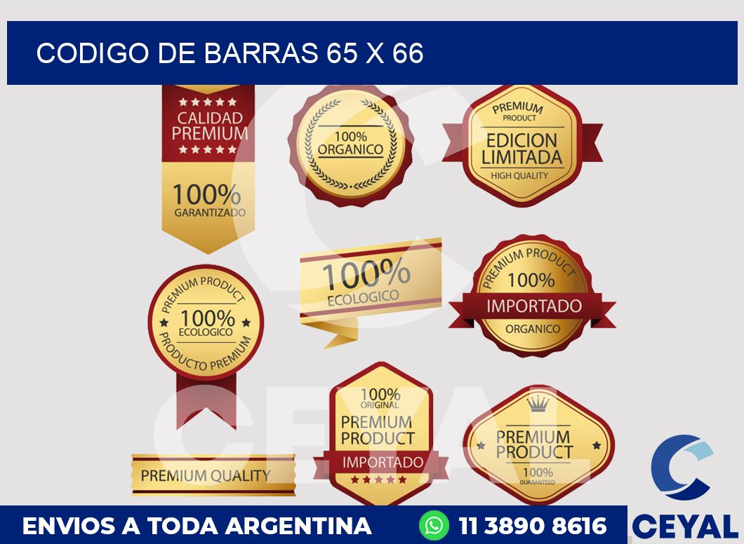 codigo de barras 65 x 66