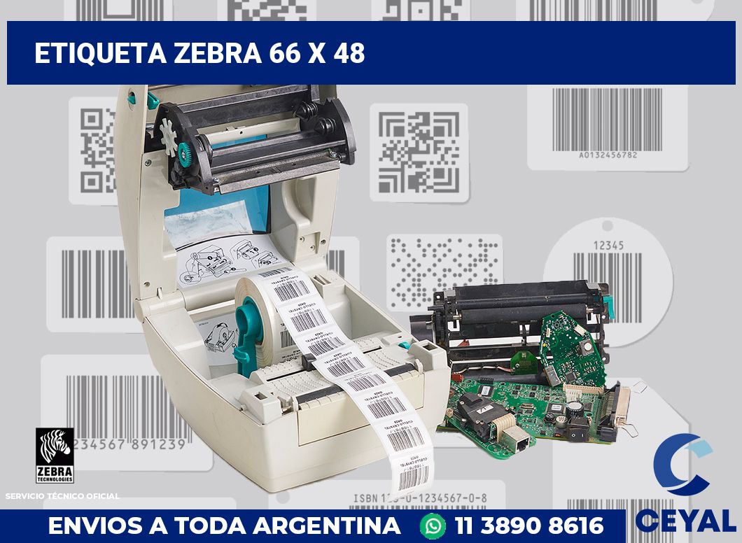 etiqueta zebra 66 x 48