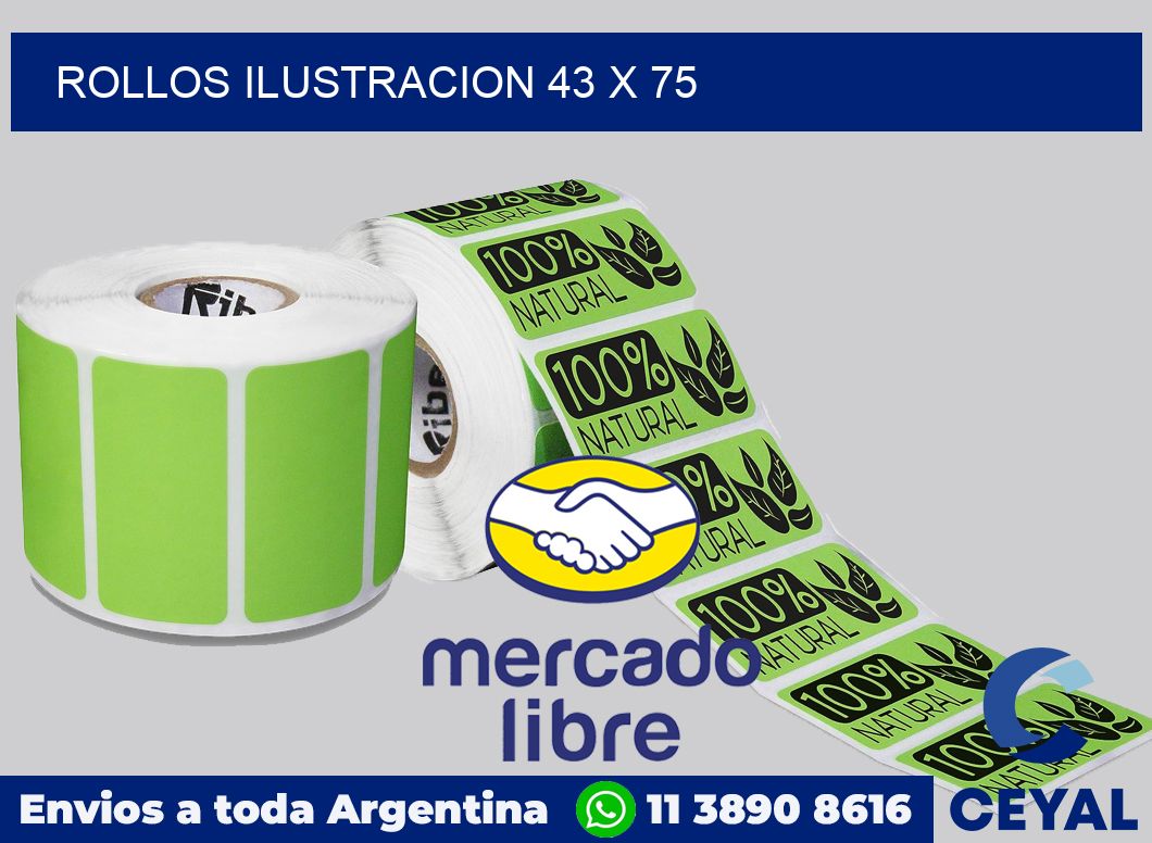 Rollos ilustracion 43 x 75