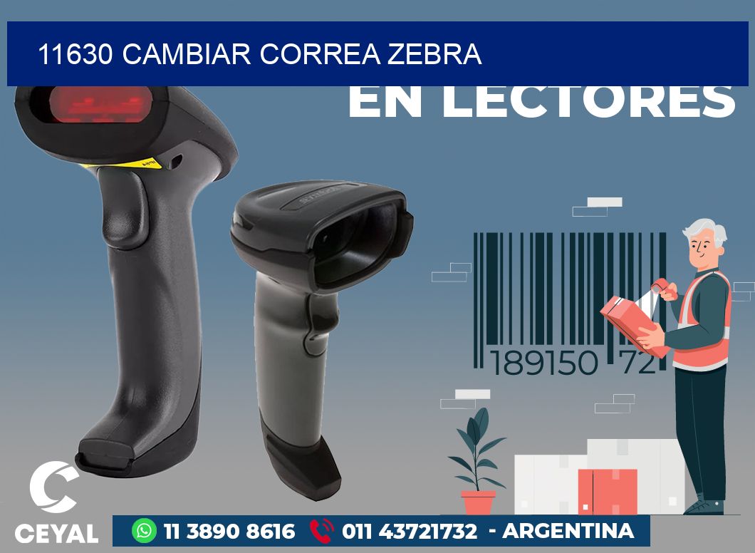11630 CAMBIAR CORREA ZEBRA