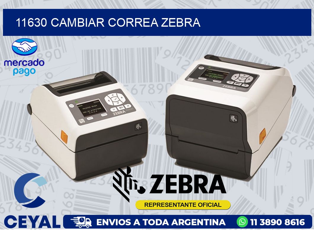 11630 CAMBIAR CORREA ZEBRA
