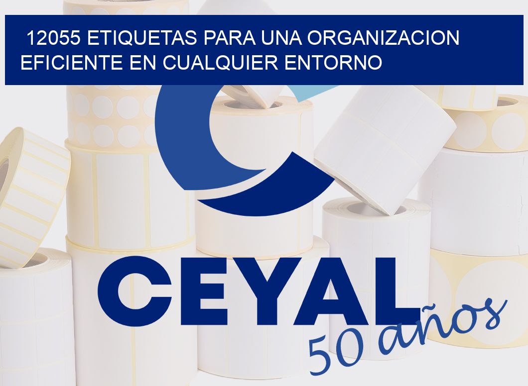 12055 ETIQUETAS PARA UNA ORGANIZACION EFICIENTE EN CUALQUIER ENTORNO