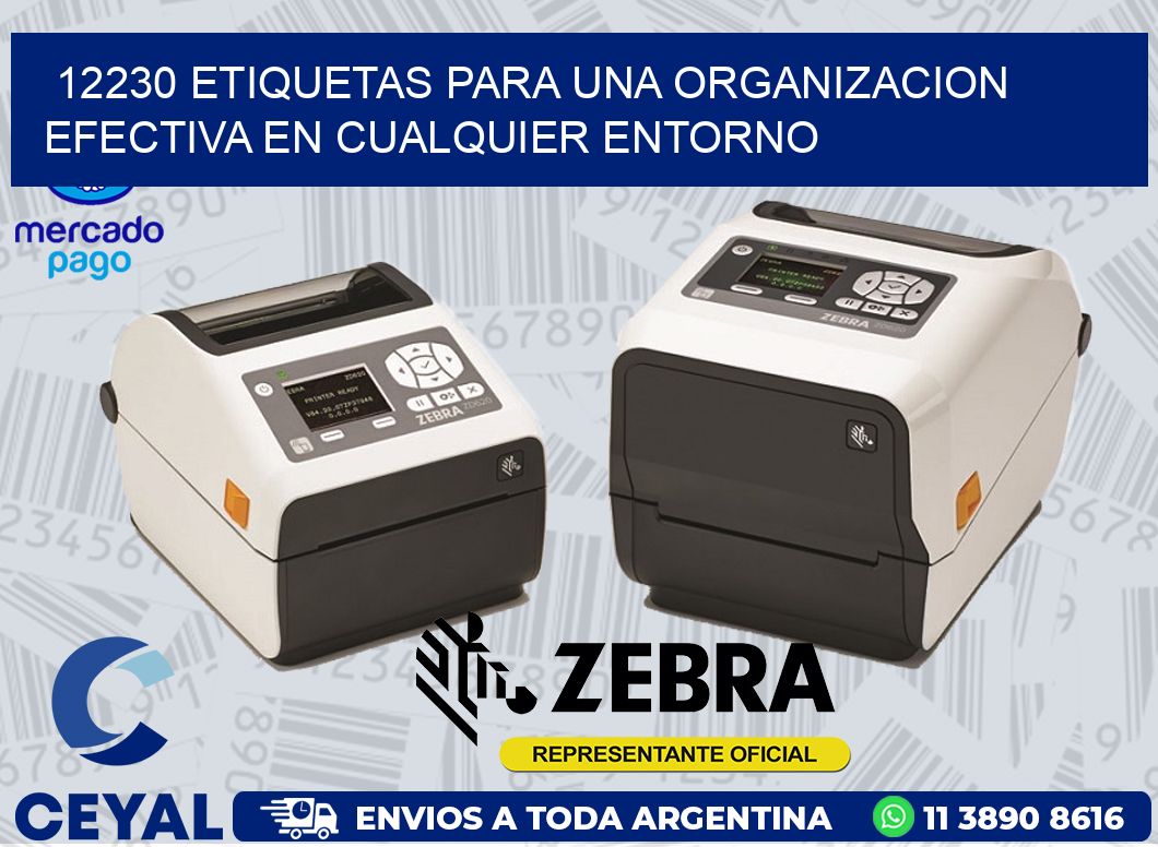 12230 ETIQUETAS PARA UNA ORGANIZACION EFECTIVA EN CUALQUIER ENTORNO