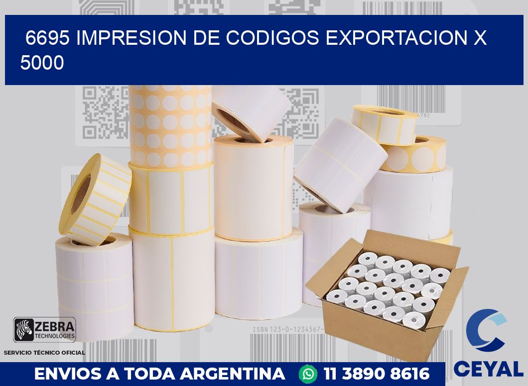 6695 impresion de codigos exportacion x 5000