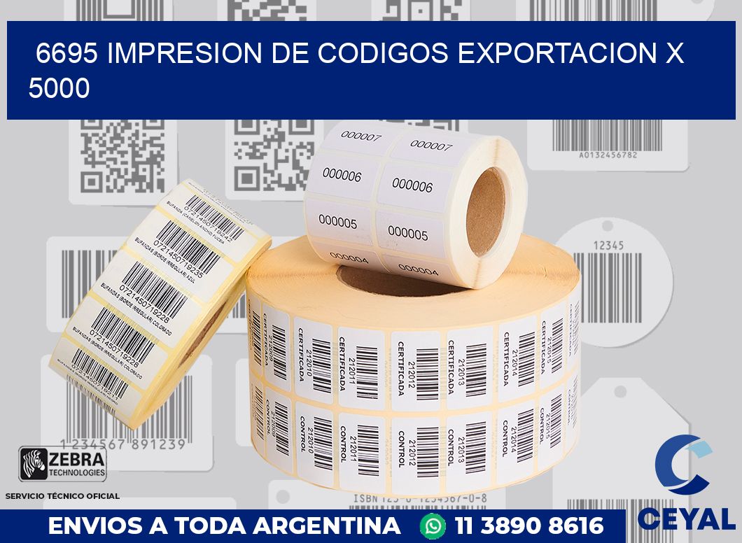 6695 impresion de codigos exportacion x 5000