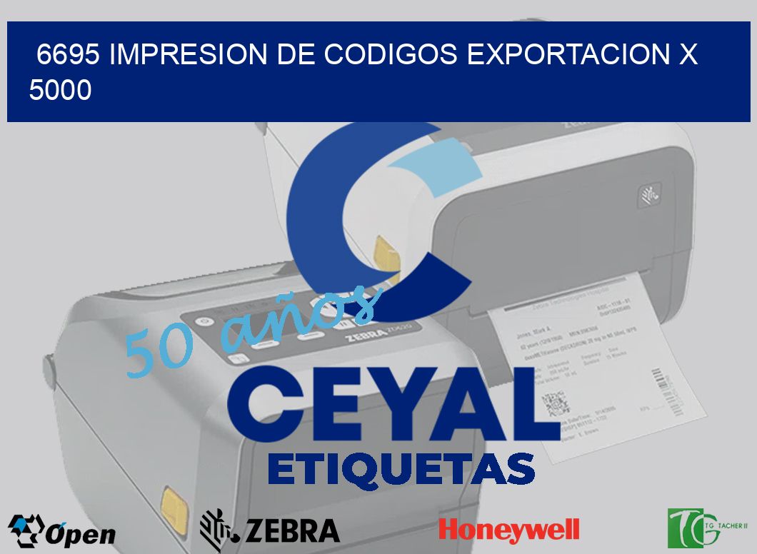 6695 impresion de codigos exportacion x 5000