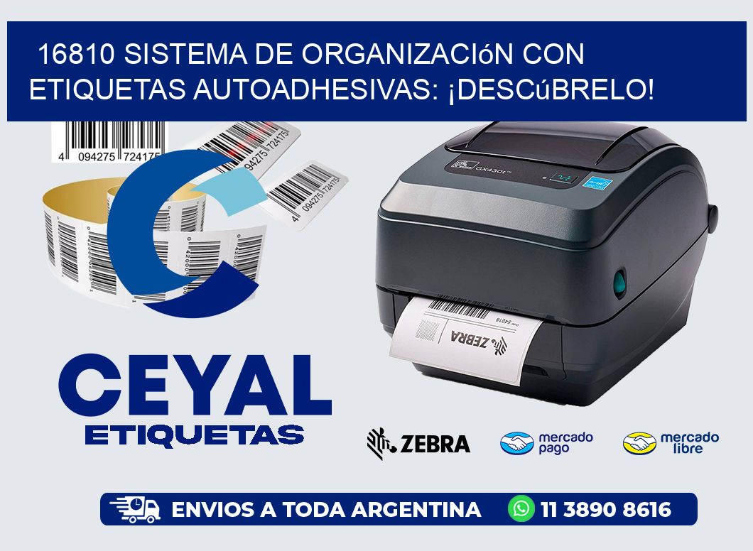 16810 Sistema de Organización con Etiquetas Autoadhesivas: ¡Descúbrelo!