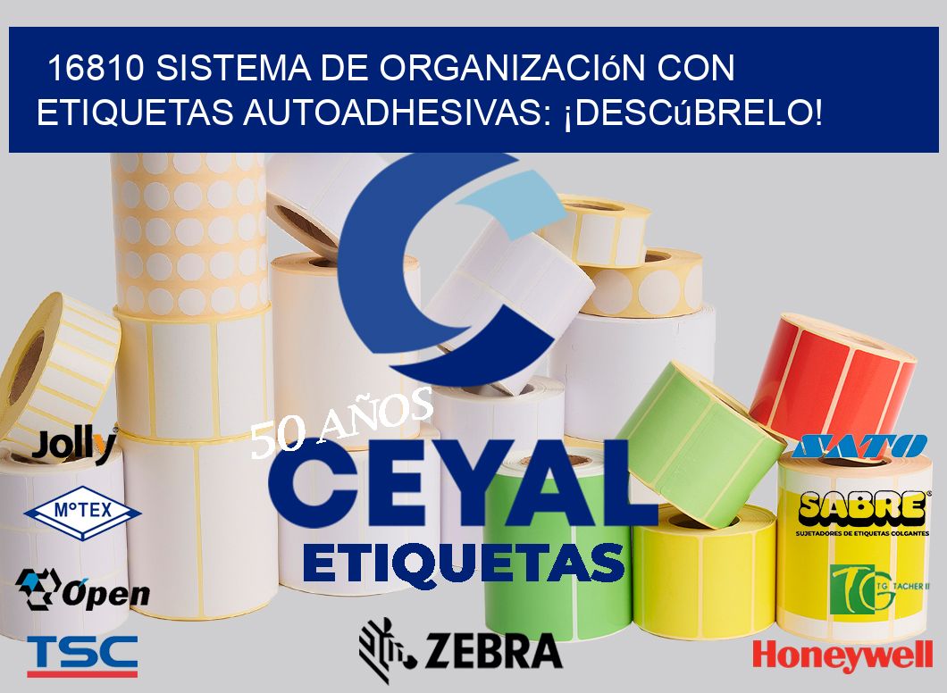16810 Sistema de Organización con Etiquetas Autoadhesivas: ¡Descúbrelo!