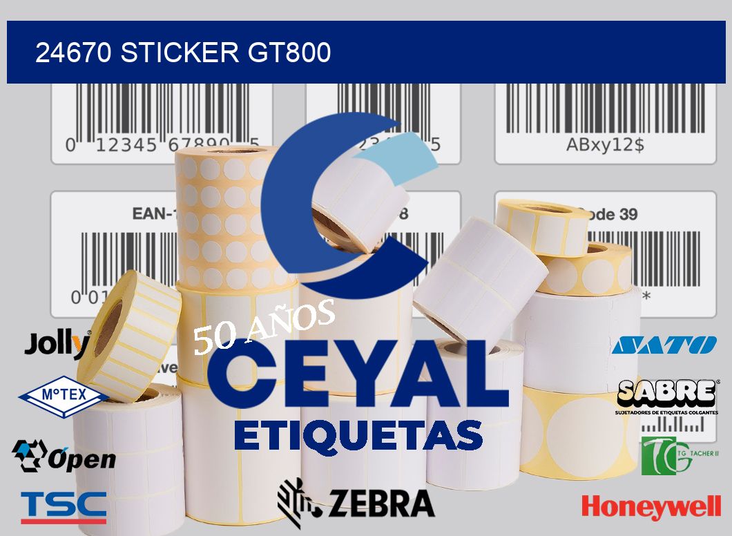 24670 STICKER GT800