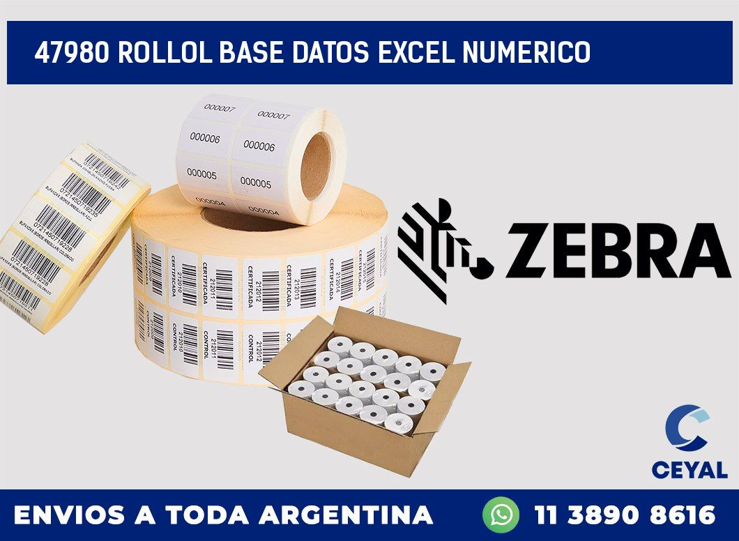 47980 rollol base datos excel numerico