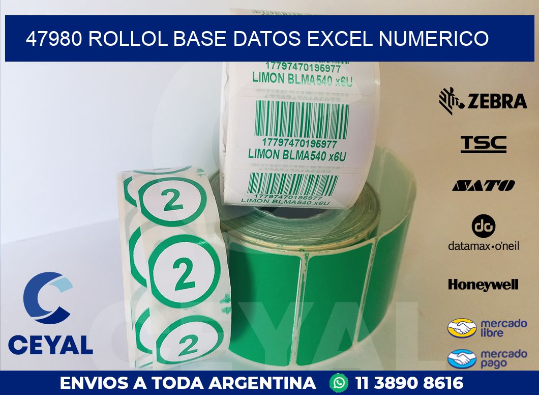 47980 rollol base datos excel numerico