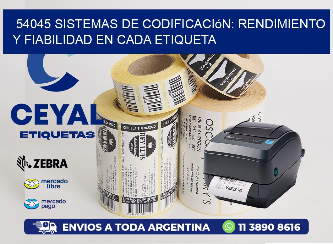 54045 Sistemas de Codificación: Rendimiento y Fiabilidad en Cada Etiqueta