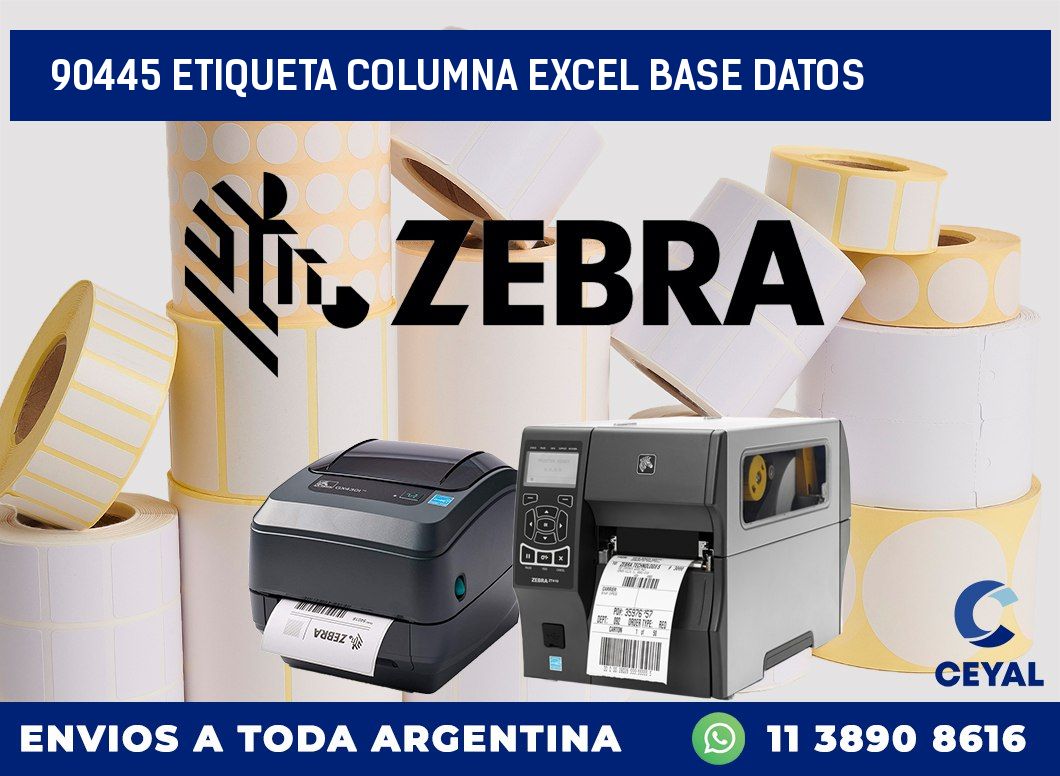 90445 etiqueta columna excel base datos