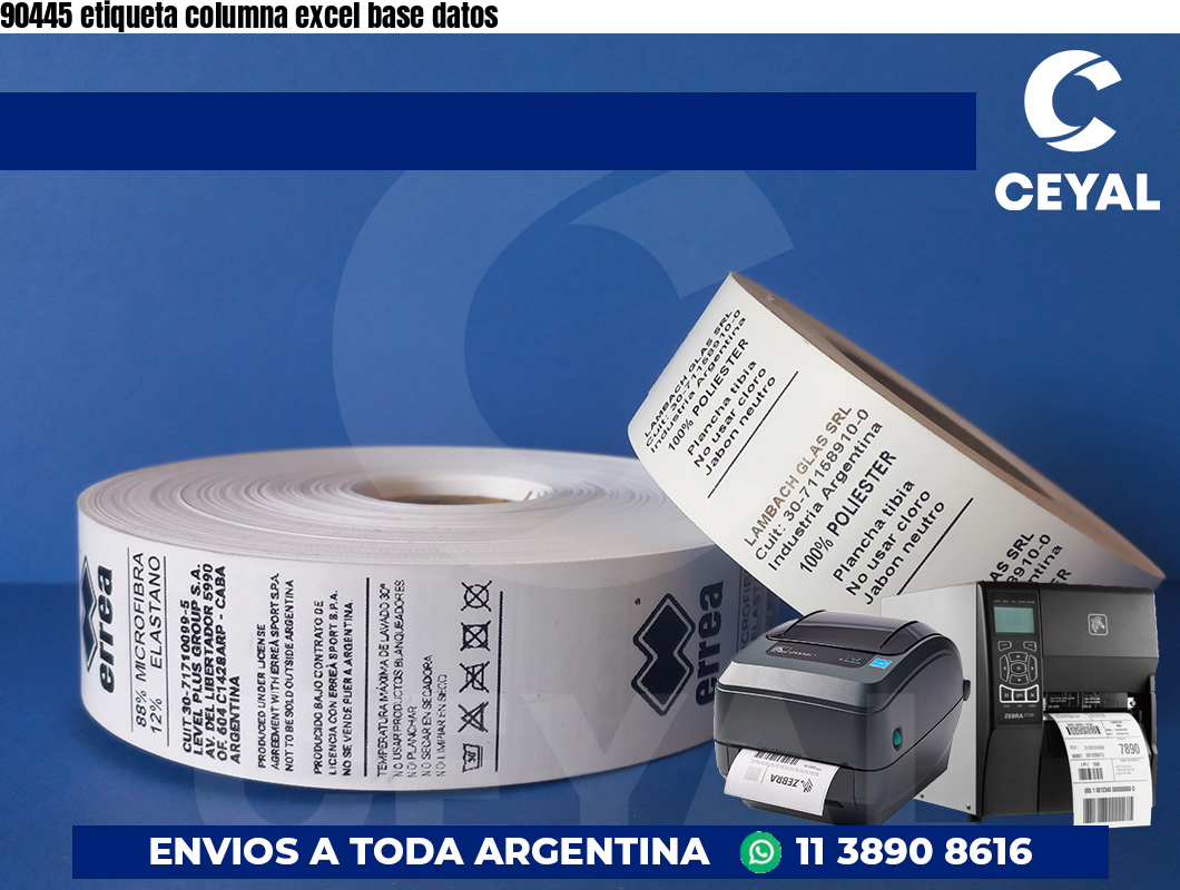 90445 etiqueta columna excel base datos