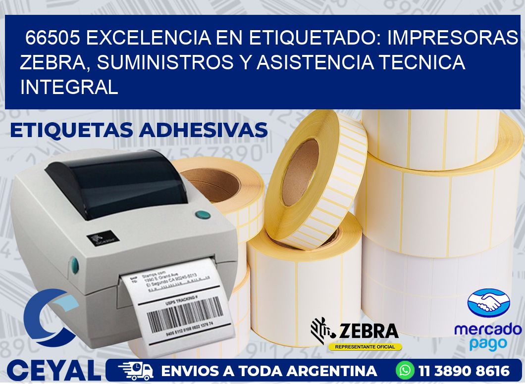 66505 EXCELENCIA EN ETIQUETADO: IMPRESORAS ZEBRA, SUMINISTROS Y ASISTENCIA TECNICA INTEGRAL