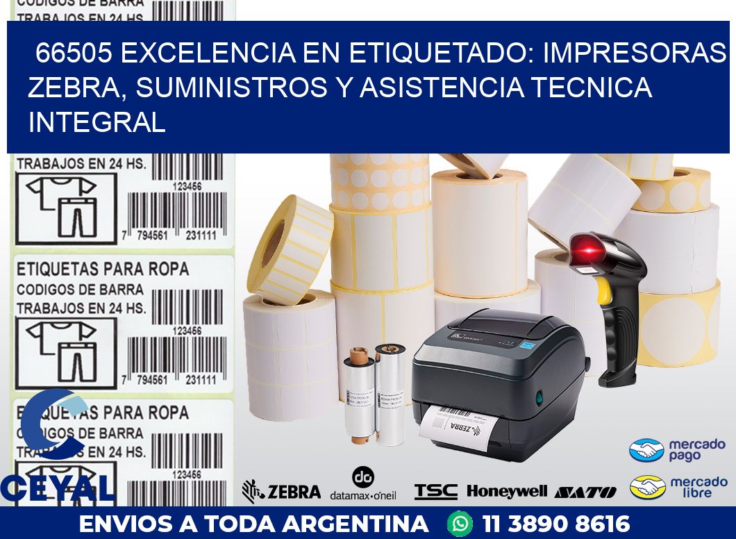 66505 EXCELENCIA EN ETIQUETADO: IMPRESORAS ZEBRA, SUMINISTROS Y ASISTENCIA TECNICA INTEGRAL