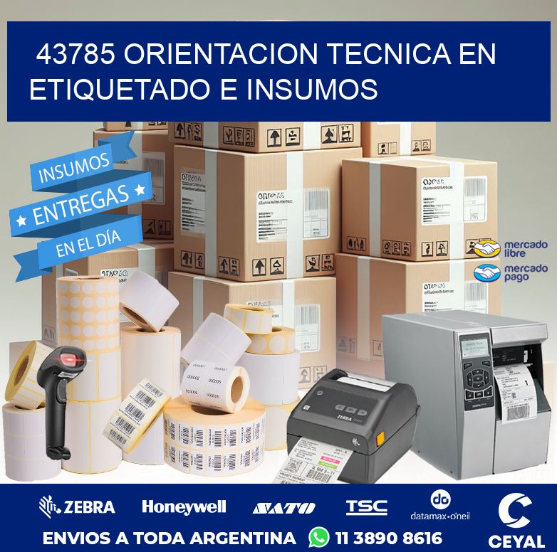 43785 ORIENTACION TECNICA EN ETIQUETADO E INSUMOS