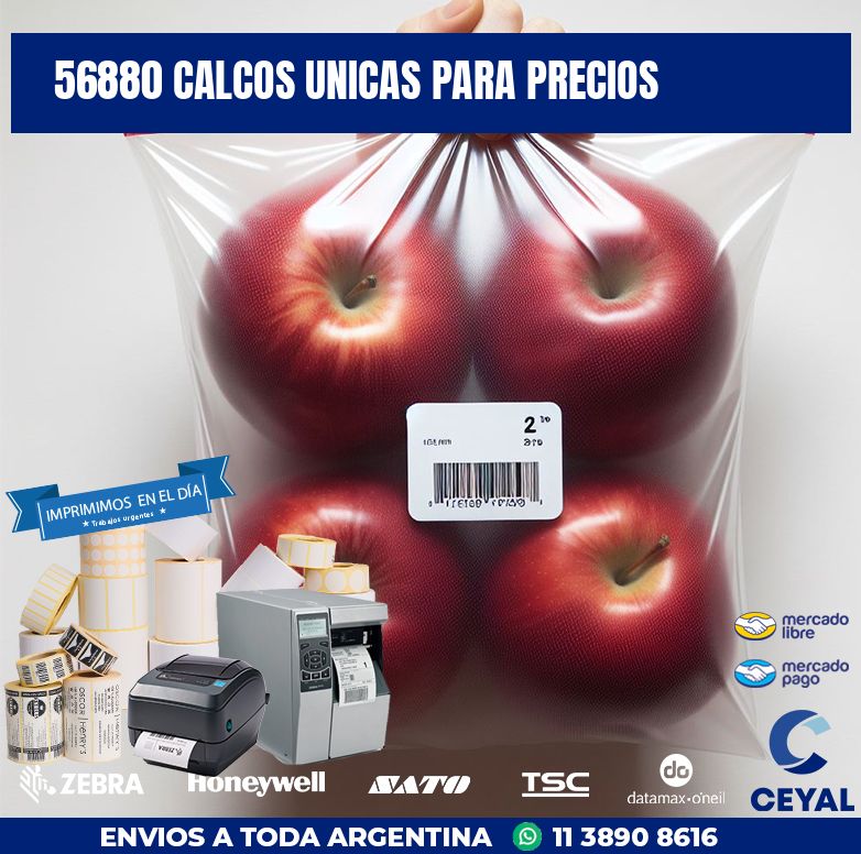 56880 CALCOS UNICAS PARA PRECIOS