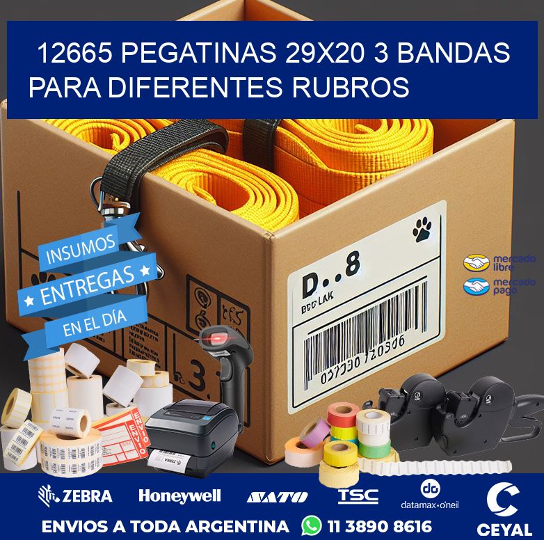 12665 PEGATINAS 29X20 3 BANDAS PARA DIFERENTES RUBROS
