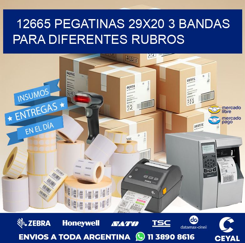 12665 PEGATINAS 29X20 3 BANDAS PARA DIFERENTES RUBROS