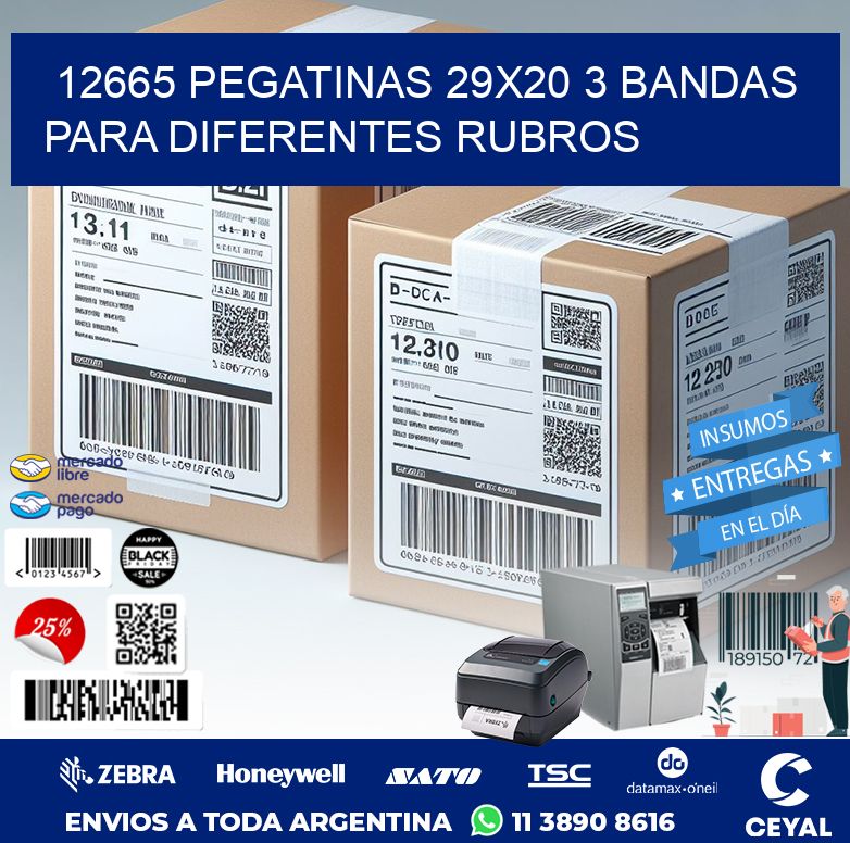 12665 PEGATINAS 29X20 3 BANDAS PARA DIFERENTES RUBROS