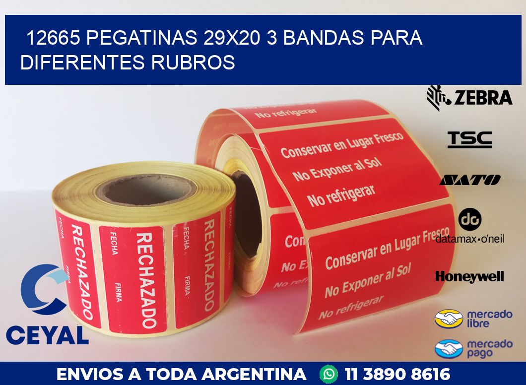 12665 PEGATINAS 29X20 3 BANDAS PARA DIFERENTES RUBROS