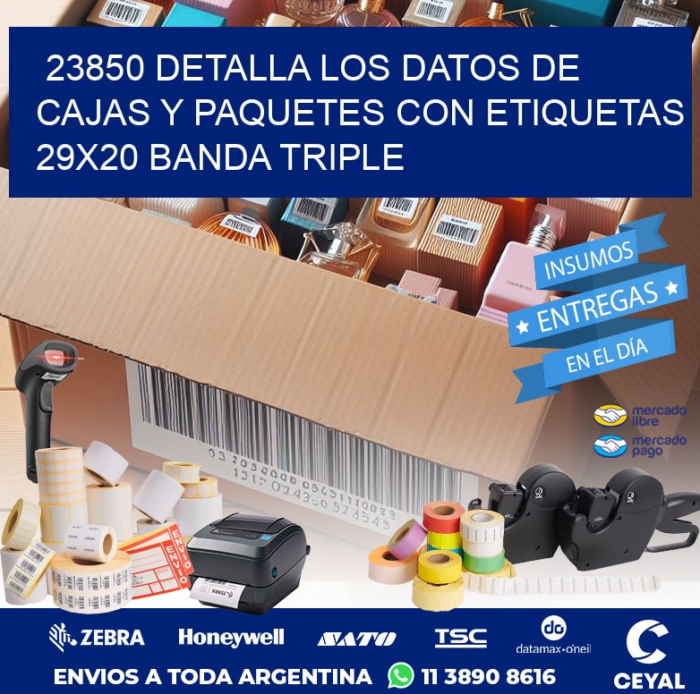 23850 DETALLA LOS DATOS DE CAJAS Y PAQUETES CON ETIQUETAS 29X20 BANDA TRIPLE