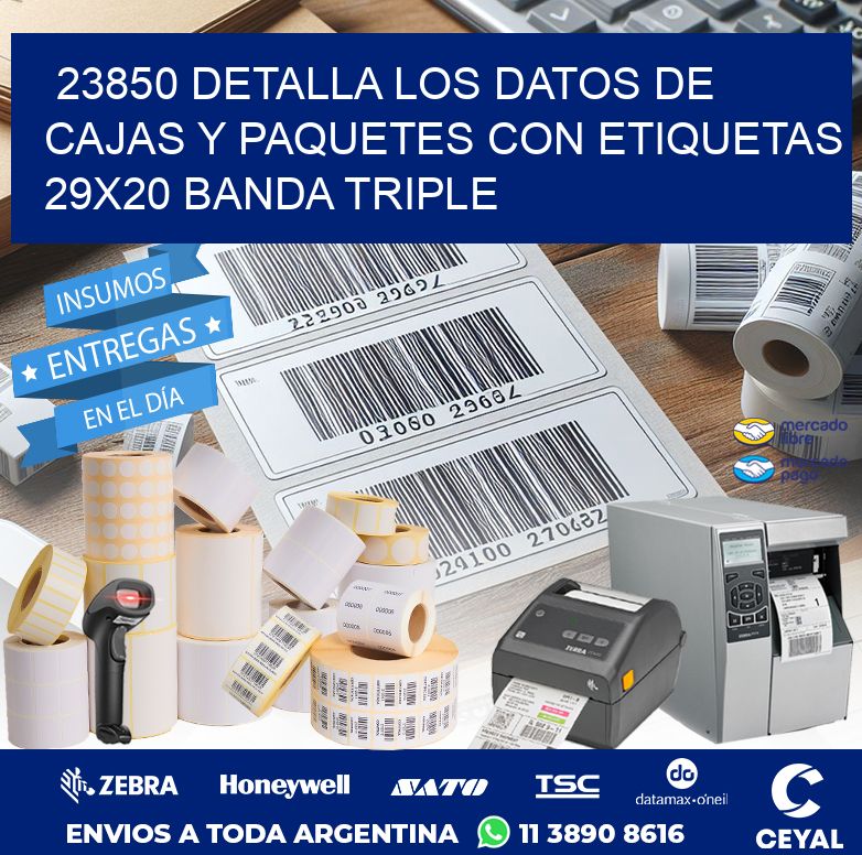 23850 DETALLA LOS DATOS DE CAJAS Y PAQUETES CON ETIQUETAS 29X20 BANDA TRIPLE