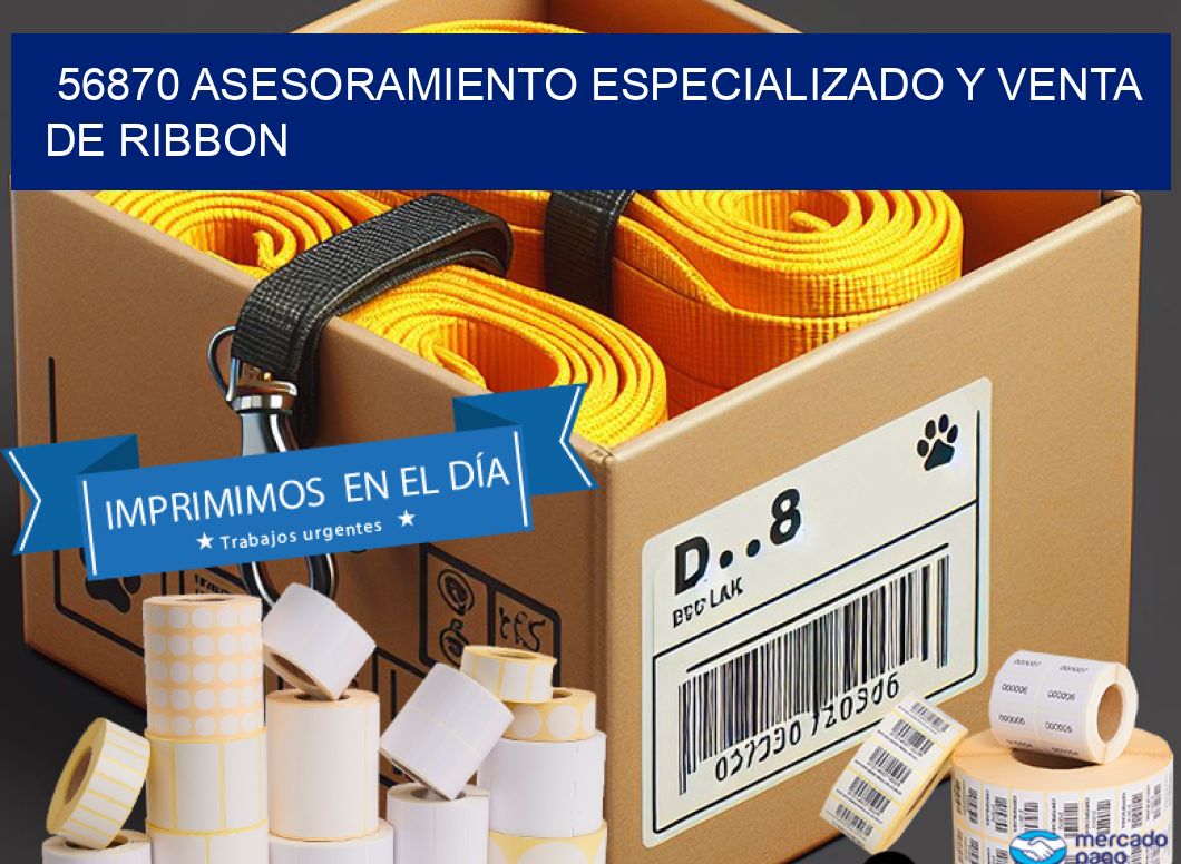 56870 ASESORAMIENTO ESPECIALIZADO Y VENTA DE RIBBON