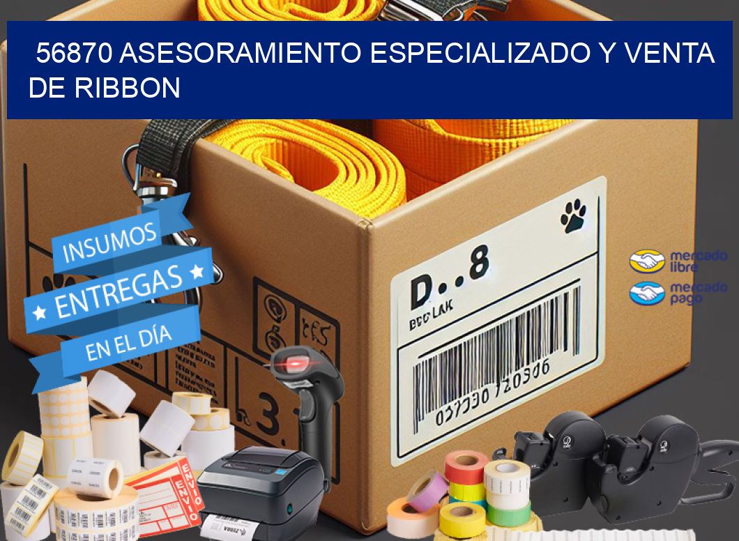 56870 ASESORAMIENTO ESPECIALIZADO Y VENTA DE RIBBON