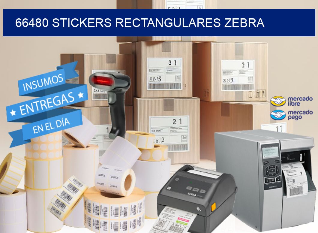 66480 Stickers rectangulares zebra