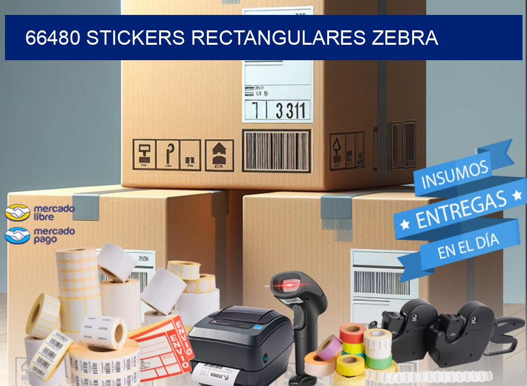 66480 Stickers rectangulares zebra