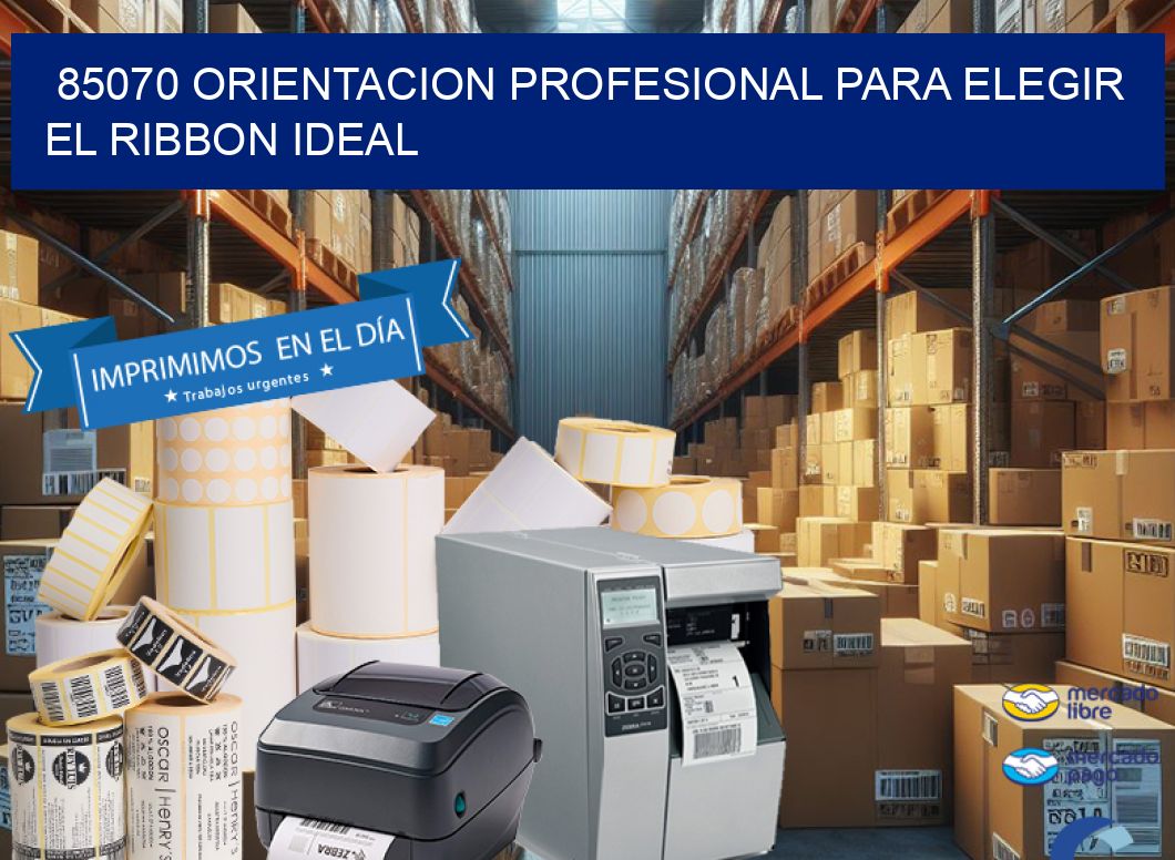 85070 ORIENTACION PROFESIONAL PARA ELEGIR EL RIBBON IDEAL