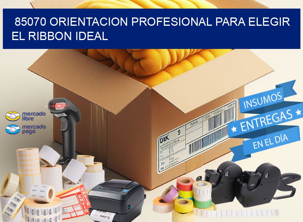 85070 ORIENTACION PROFESIONAL PARA ELEGIR EL RIBBON IDEAL