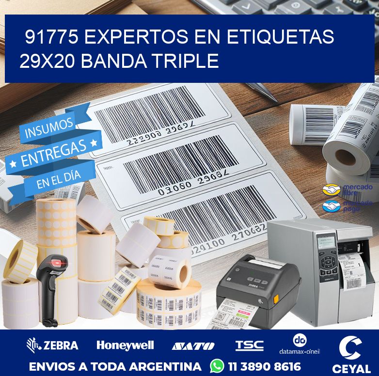 91775 EXPERTOS EN ETIQUETAS 29X20 BANDA TRIPLE