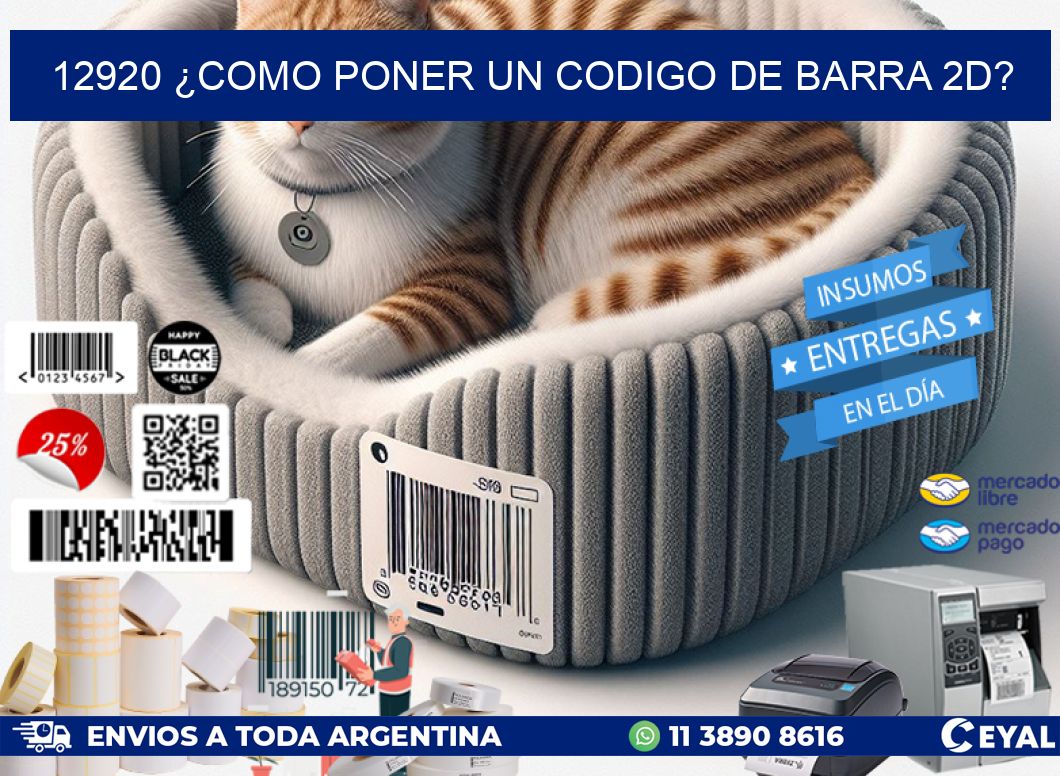 12920 ¿COMO PONER UN CODIGO DE BARRA 2D?
