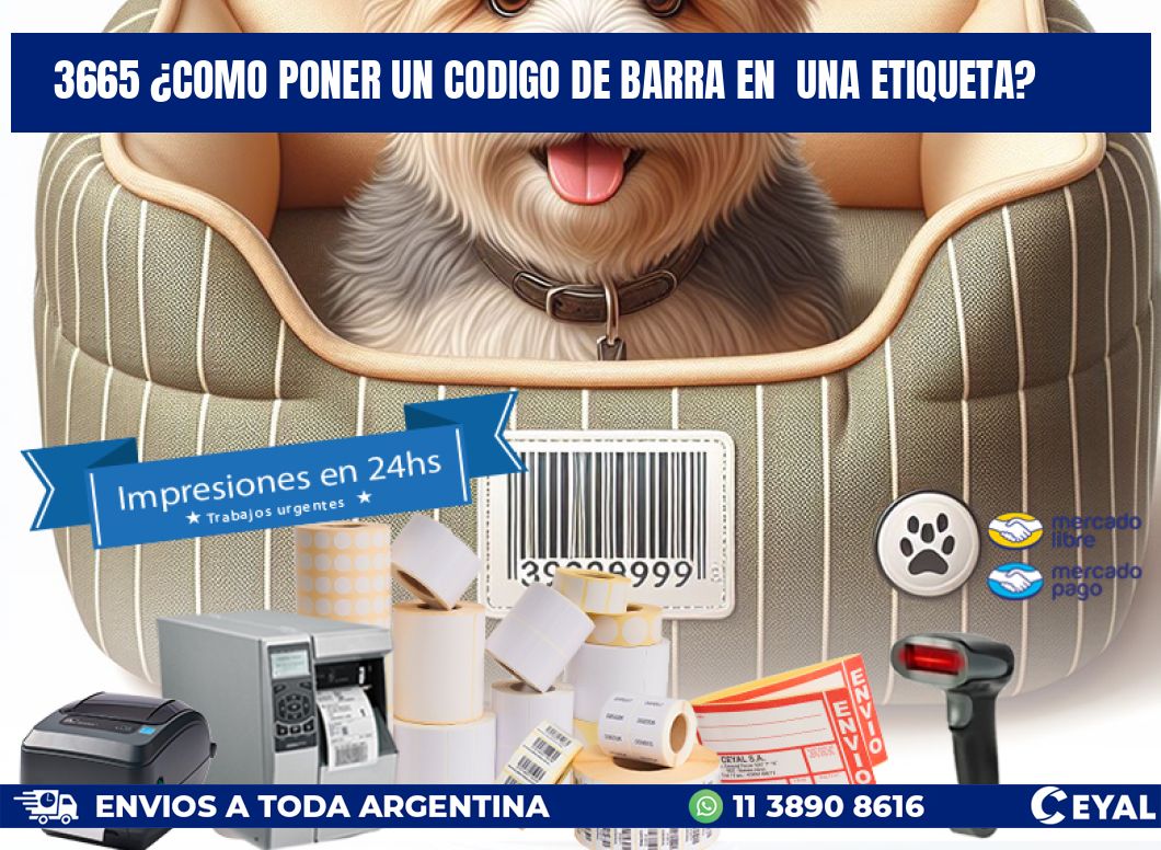 3665 ¿COMO PONER UN CODIGO DE BARRA EN  UNA ETIQUETA?