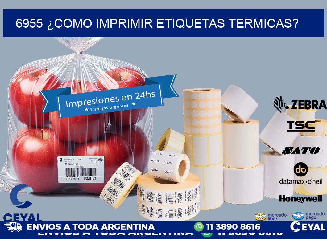 6955 ¿COMO IMPRIMIR ETIQUETAS TERMICAS?