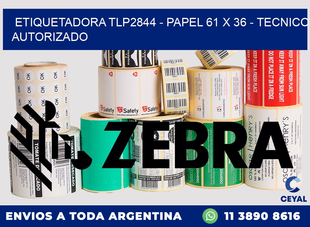 ETIQUETADORA TLP2844 - PAPEL 61 x 36 - TECNICO AUTORIZADO