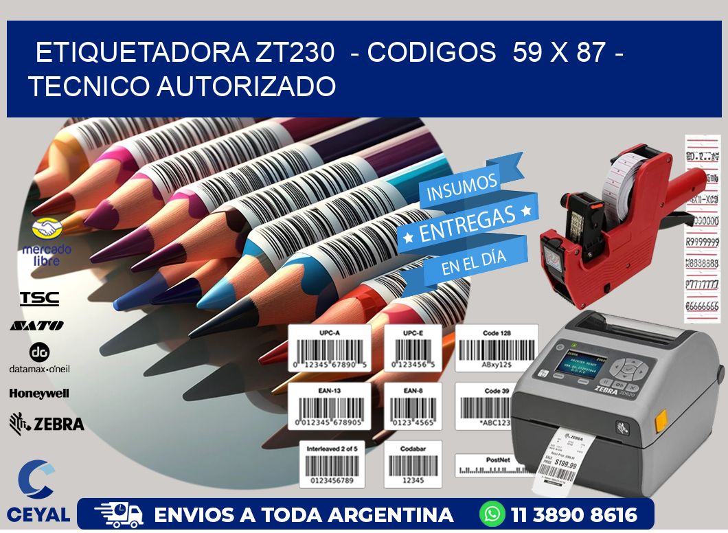 ETIQUETADORA ZT230  - CODIGOS  59 x 87 - TECNICO AUTORIZADO