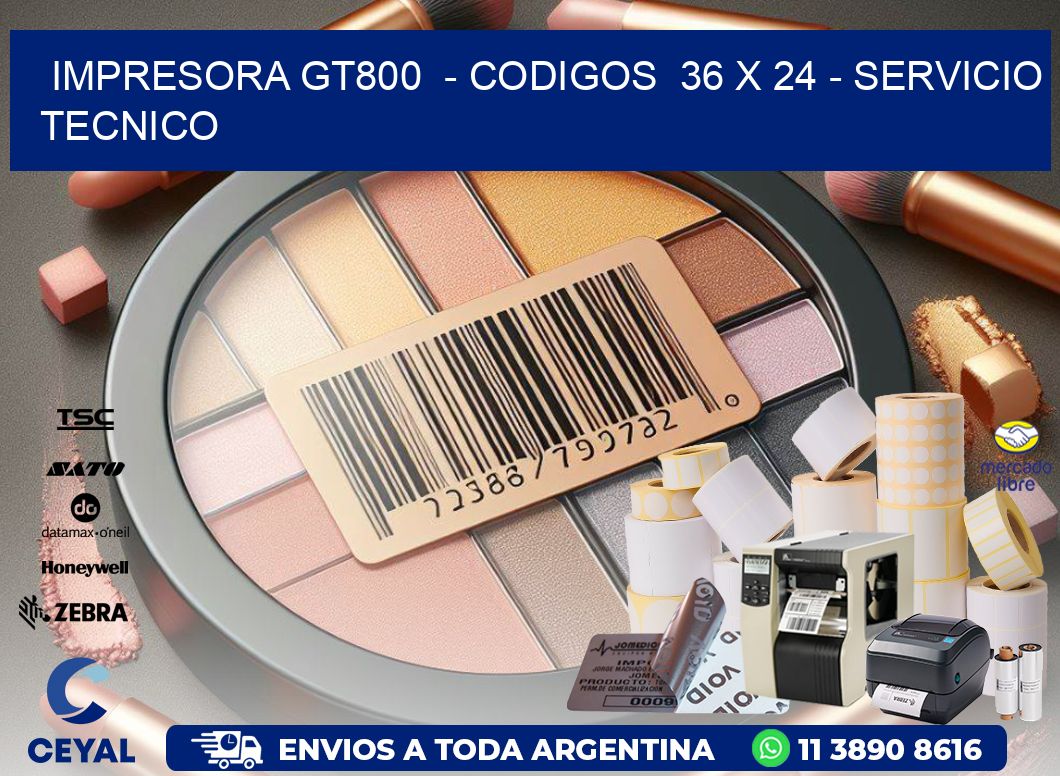 IMPRESORA GT800  - CODIGOS  36 x 24 - SERVICIO TECNICO