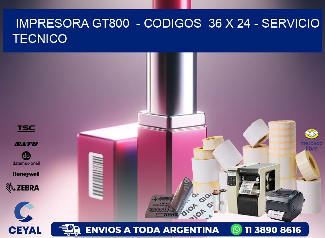 IMPRESORA GT800  - CODIGOS  36 x 24 - SERVICIO TECNICO