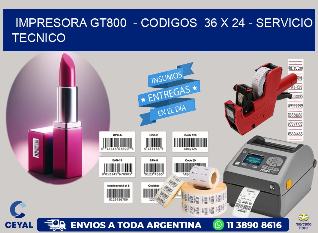 IMPRESORA GT800  – CODIGOS  36 x 24 – SERVICIO TECNICO