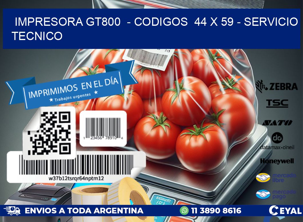 IMPRESORA GT800  - CODIGOS  44 x 59 - SERVICIO TECNICO